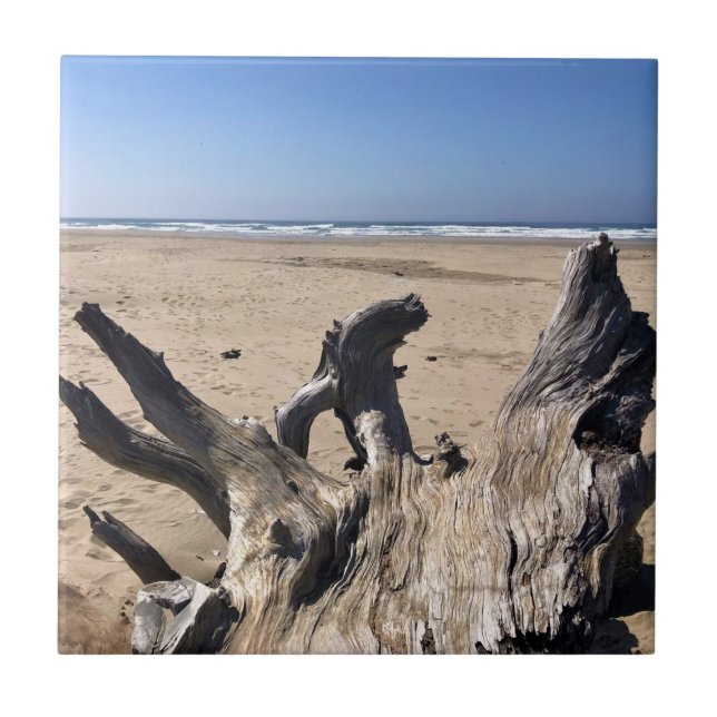 Yaquina Bay State Recreation Site, Newport, Oregon Kakelplatta (Framsidan)