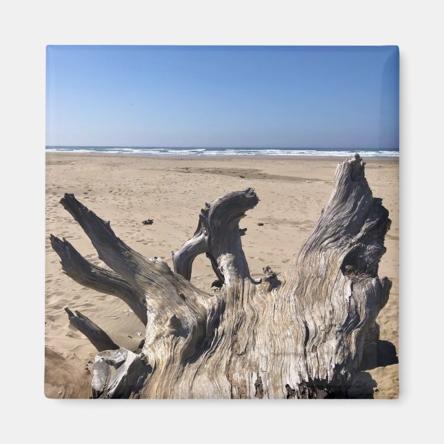 Yaquina Bay State Recreation Site, Newport, Oregon Magnet (Framsidan)