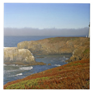 Yaquina Head Lighthouse i Newport Oregon Kakelplatta