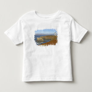 Yaquina Head Lighthouse i Newport Oregon T Shirt