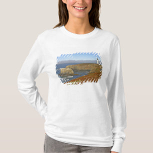 Yaquina Head Lighthouse i Newport Oregon Tee Shirt