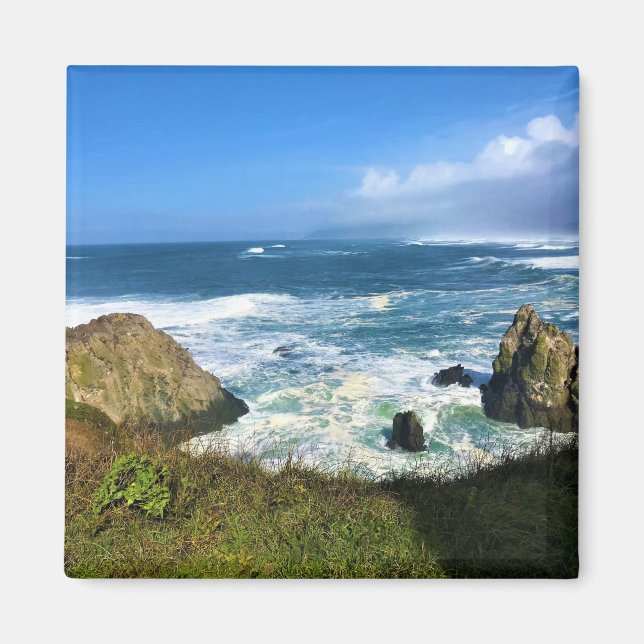 Yaquina Head Outstand Natural Area, Oregon Magnet (Framsidan)