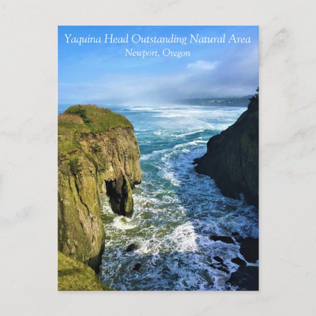 Yaquina Head Outstand Natural Area, Oregon Post Vykort (Framsida)