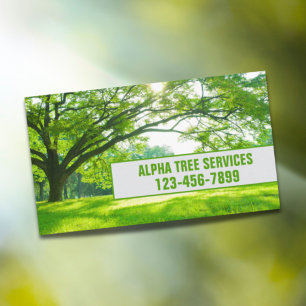 Yard Gräsmatta Care Landscaping Träd Trimming Serv Visitkort
