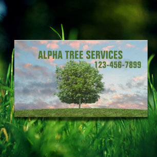 Yard Gräsmatta Care Landscaping Träd Trimming Serv Visitkort