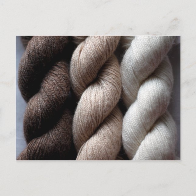 Yarn Brown Beige Cream Färgad Alpaca Vykort (Framsida)