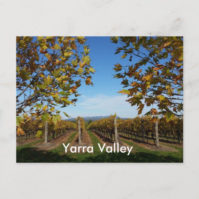 Yarra Valley Vineyard, Melbourne, Australien Vykort (Framsida)