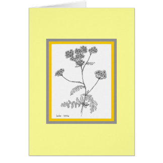 Yarrow Hälsningskort