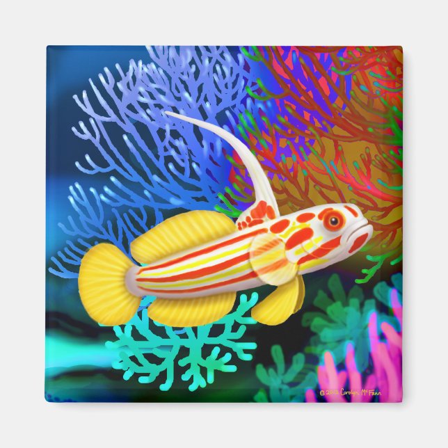 Yasha Hase Shrimp Goby Fish Magnet (Framsidan)