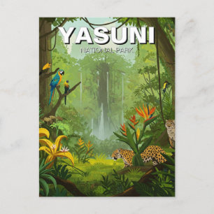 Yasuni National Park Ecuador Vykort