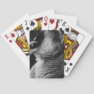 yawande lejon casinokort