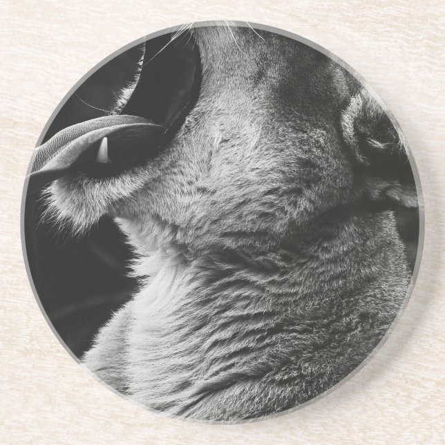 yawande lejon underlägg (Framsidan)