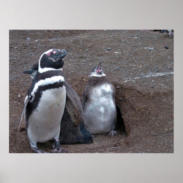 Yawn! Poster (Framsidan)