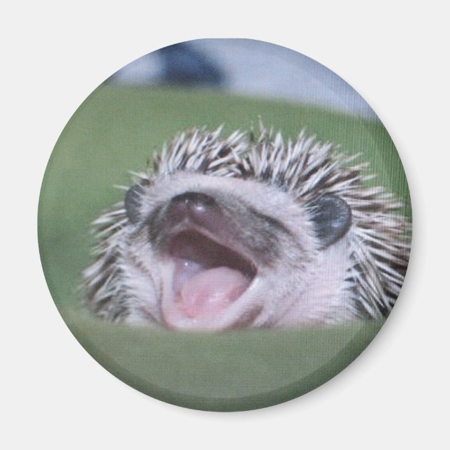 yawner magnet (Framsidan)