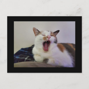 Yawning Calico Cat Vykort