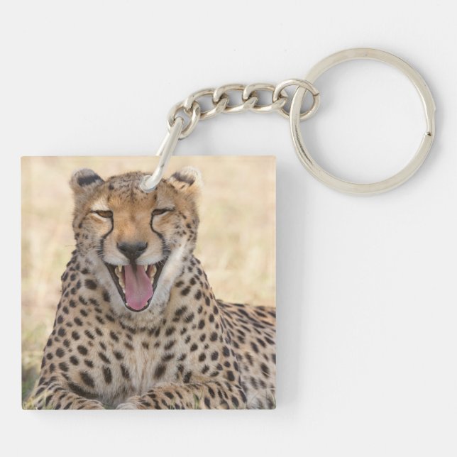 Yawning Cheetah (Baksidan)