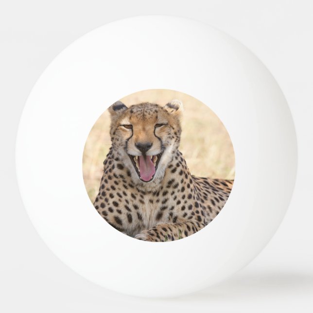 Yawning Cheetah Pingisboll (Framsidan)