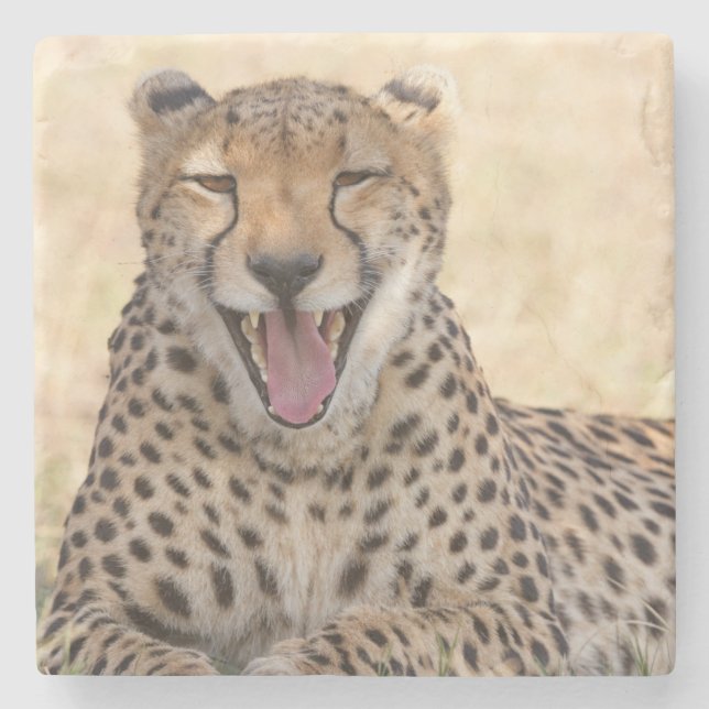 Yawning Cheetah Stenunderlägg (Framsidan)