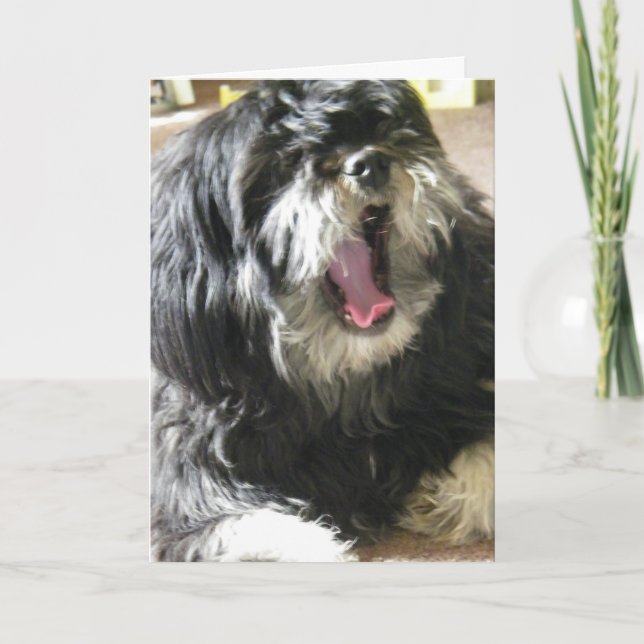 YAWNING CUZ I ÄR BORED 40 BIRTHDAY KORT (Framsida)