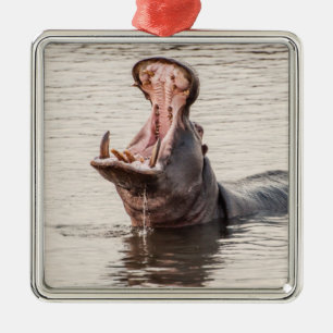 Yawning Hippo Julgransprydnad Metall