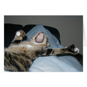 Yawning Kittie Hälsningskort