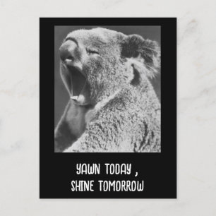 Yawning Koala-lustig fras Vykort