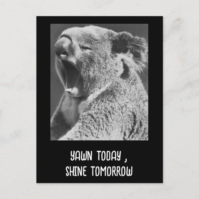 Yawning Koala-lustig fras Vykort (Framsida)