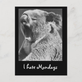Yawning Koala Vykort