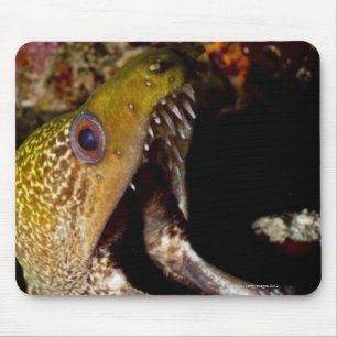 Yawning och skrämmande munnen på en gula marginal musmatta