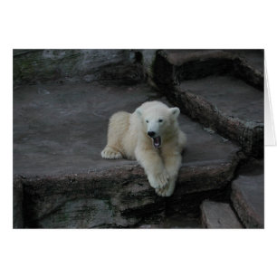 Yawning Polar björn unge Hälsningskort