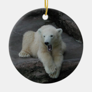 Yawning Polar björn unge Julgransprydnad Keramik