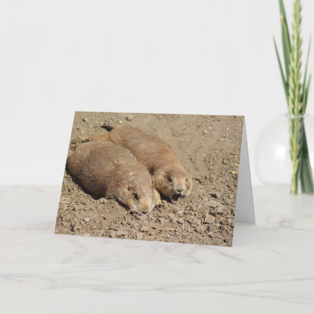 Yawning Prairie Hund Greeting Card Kort (Framsida)