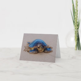 Yawning Sea Turtle Anteckningskort