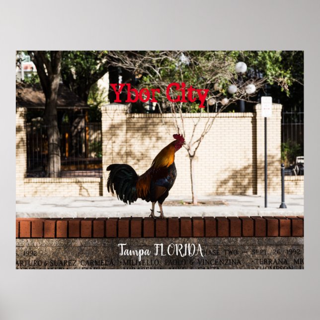 Ybor City, Tampa FLORIDA Poster (Framsidan)