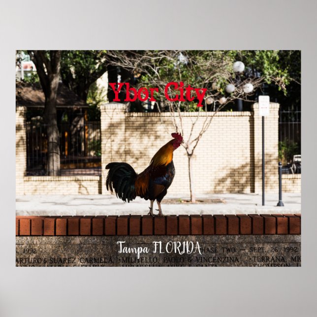Ybor City, Tampa FLORIDA Poster (Framsidan)