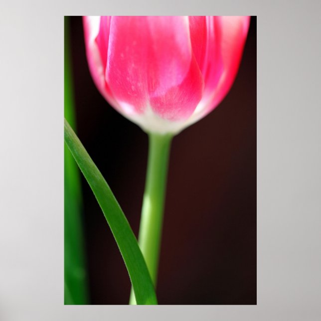 Yearning Poster (Framsidan)