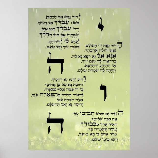 Yedid Nefesh Poster (Framsidan)