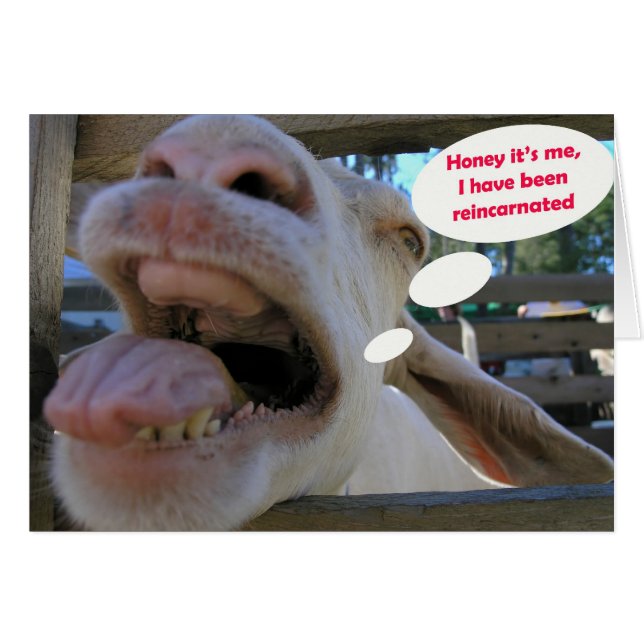 Yee Hawget - kort (Framsidan Horizontal)