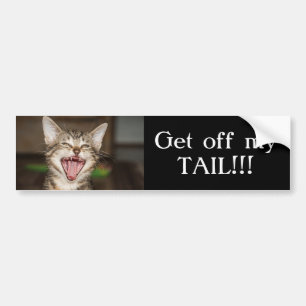 Yelling Cat Bildekal