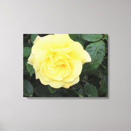 Yello Ro Canvastryck