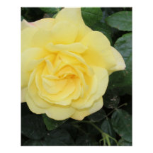 Yello Ro
