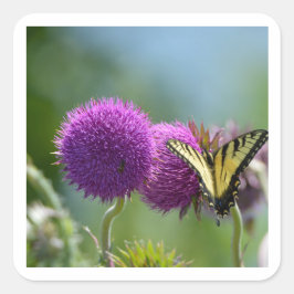 Yello Sväljer Svan Butterfly Fyrkantigt Klistermärke