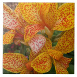 Yellow and Red Speckled Canna Lily Floral Kakelplatta<br><div class="desc">Ceramic tile that features a photo image of the Canna Lily plant with yellow and speckled blooms. A lovely,  floral design! Makes a pretty kitchen trivet. Select your ceramic tile style.</div>