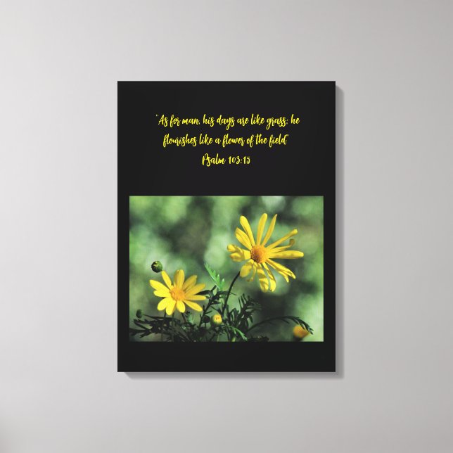 Yellow Aster Wildflowers Canvas Print (Framsida)