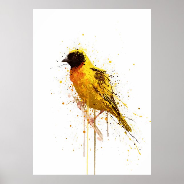 Yellow-Backed Weaver Bird Poster (Framsidan)