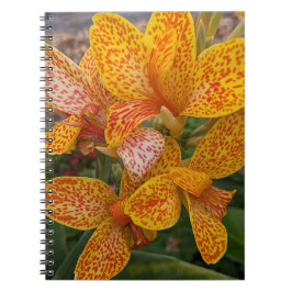 Yellow Canna Lily with Red Speckles Floral Anteckningsbok