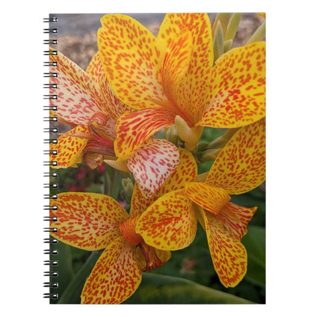 Yellow Canna Lily with Red Speckles Floral Anteckningsbok (Framsidan)