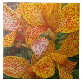 Yellow Canna Lily with Red Speckles Floral Kakelplatta