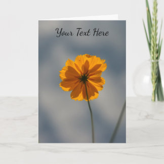 Yellow Coreopsis Kort