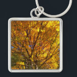 Yellow Fall Foliage Fyrkantig Silverfärgad Nyckelring<br><div class="desc">A maple tree blazes a golden yellow in the autumn sun in this pic snapped by Richard H. Fay.</div>
